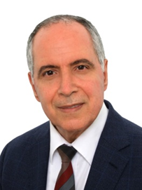 Ibrahim Elmadfa